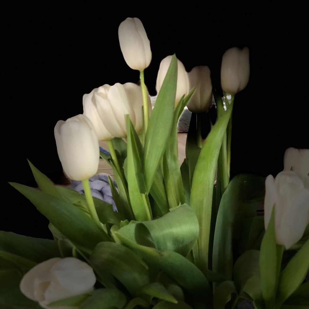 Meet your Posher, Jenn